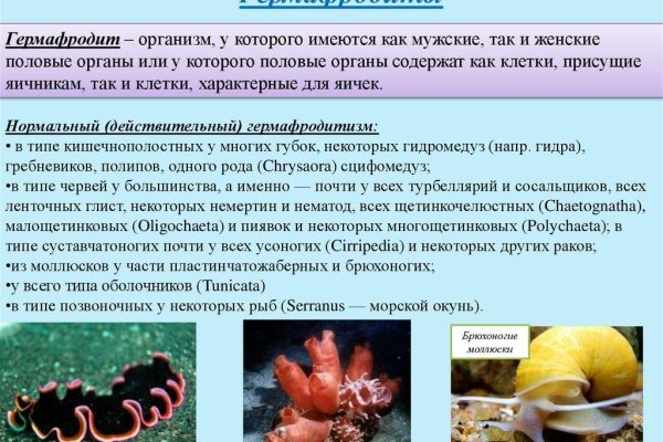 Купить наркотики через кракен