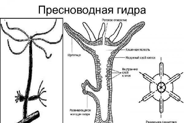 Кракен дарк шоп